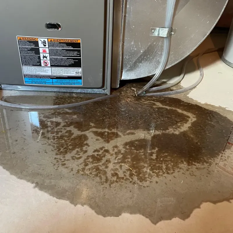 Appliance Leak Cleanup in West Plains, MO