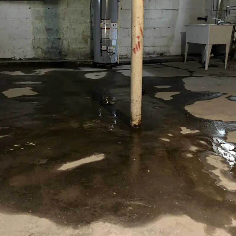 Emergency Water Extraction And Removal in West Plains, MO